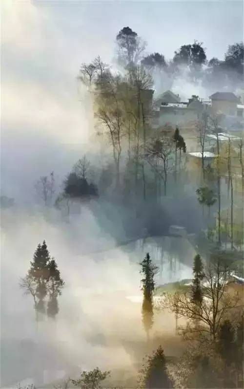 紫雾山庄:武道境界详解