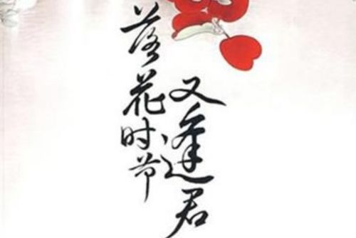 落花时节又逢君：集数与情怀的交织