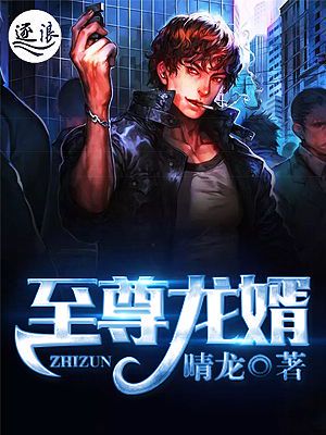 龙婿至尊：都市传奇的崛起
