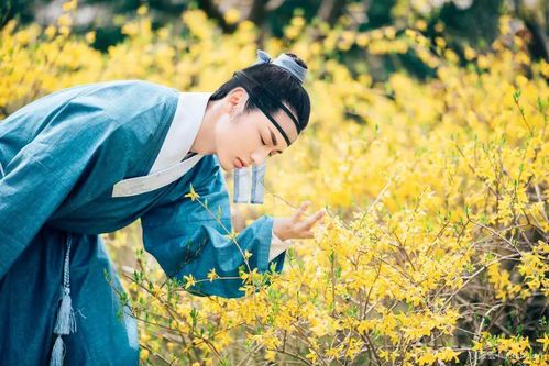落花时节又逢君：昆仑的倾心之人