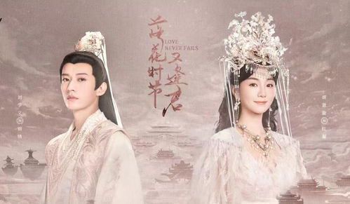 落花时节又逢君：播出时间与期待