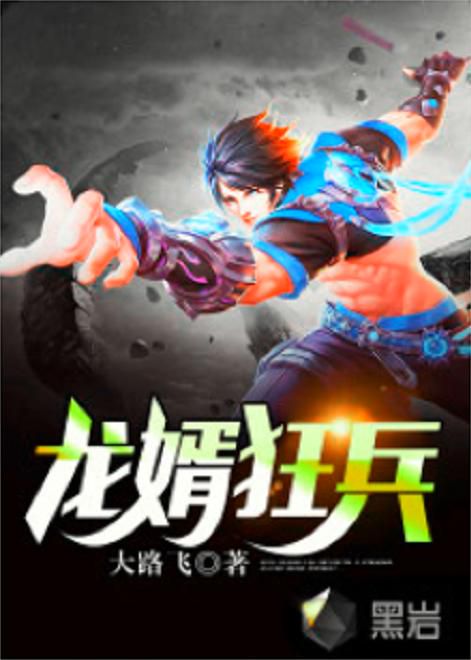 龙婿狂医：绝世医术与豪门风云