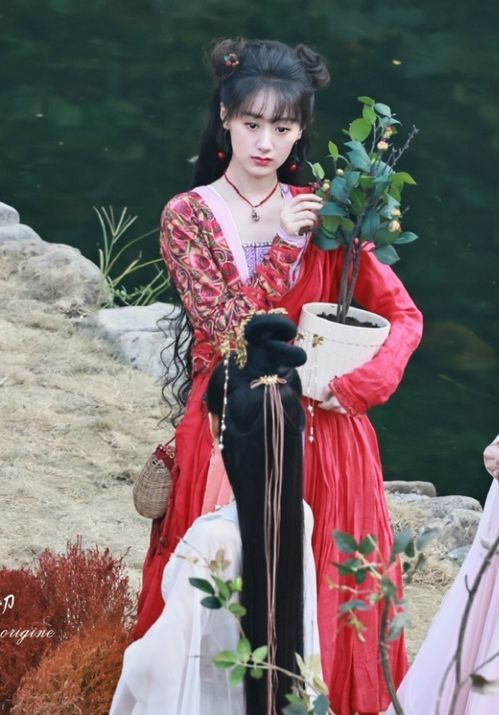 落花时节再相逢：袁冰妍的古典之美