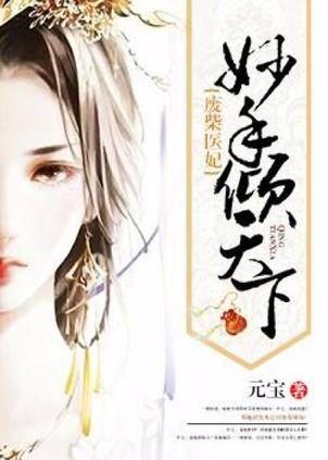 龙吟妙手：一部传奇小说的全文解析