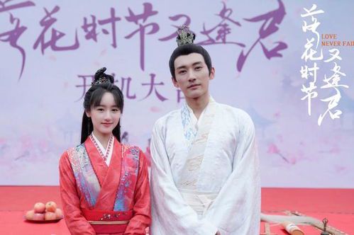 落花时节又逢君：番外1-2剧情解析与在线观看指南