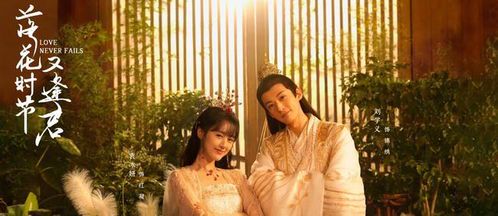 《落花时节又逢君》高清版：重逢背后的古风美学与情感张力