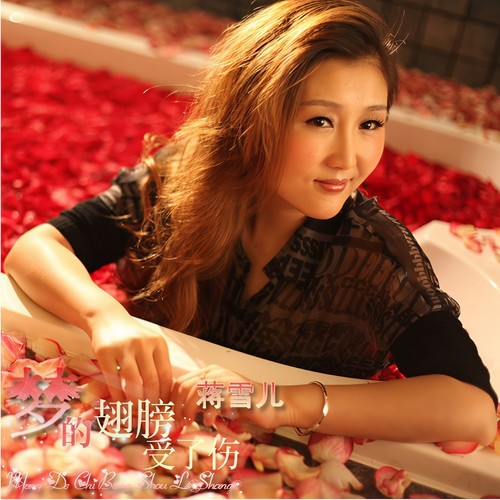 因为你爱上他 (DJ版)歌词-蒋雪儿Snow.J