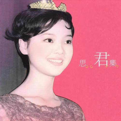 雨夜花 (闽南语)歌词-邓丽君