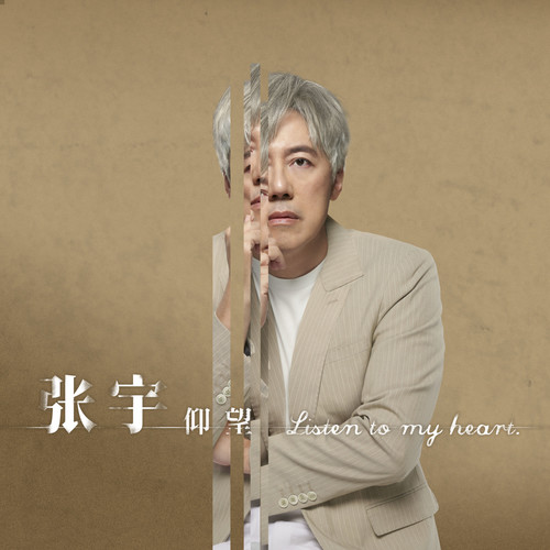 仰望歌词-张宇