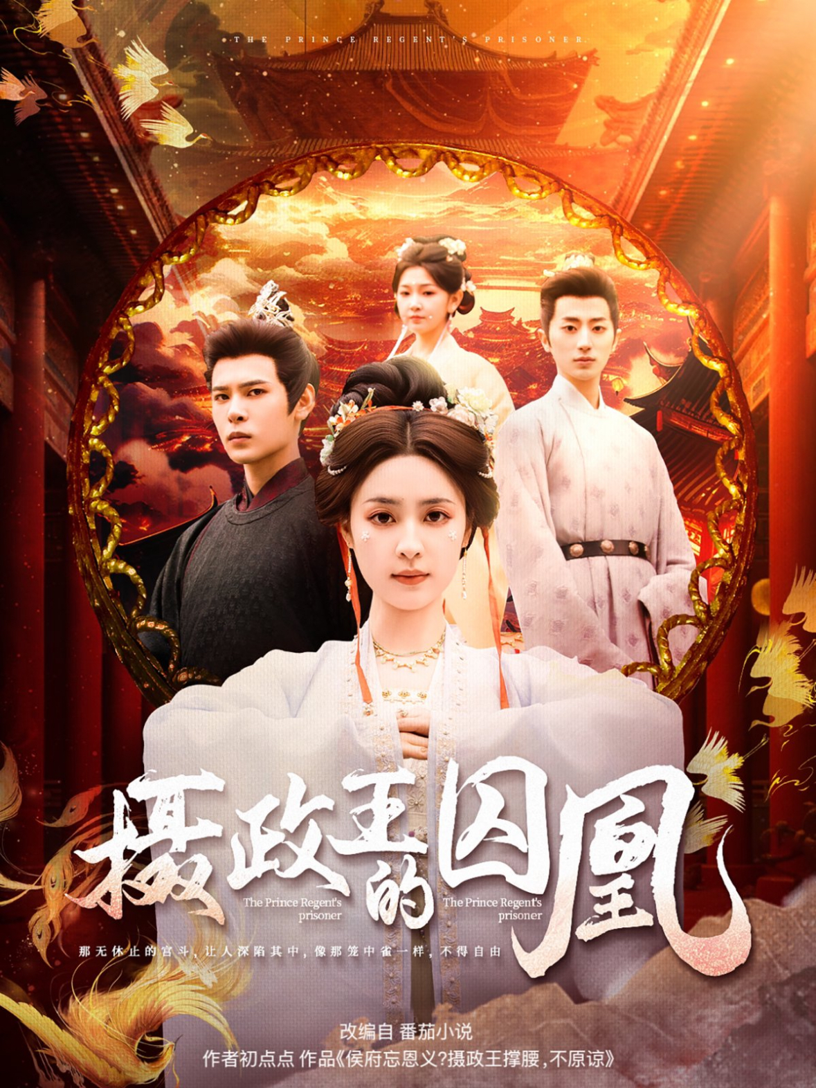 摄政王的囚凰短剧全70集