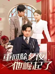 重回除夕夜他崛起了短剧全89集