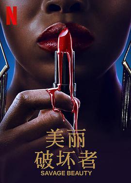 美丽破坏者第一季电视剧全6集