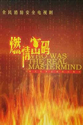 燃情密码电视剧全30集