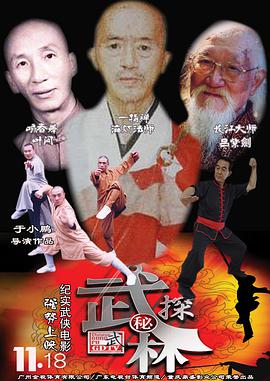 武林探秘电影正片