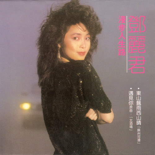 可否多见一眼歌词-邓丽君
