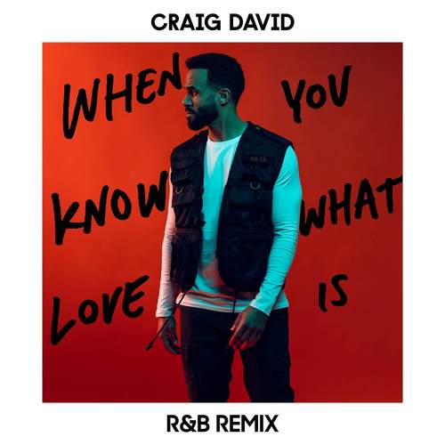 When You Know What Love Is (R&B Remix)歌词-Craig David