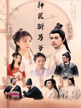 神医驸马爷短剧全80集