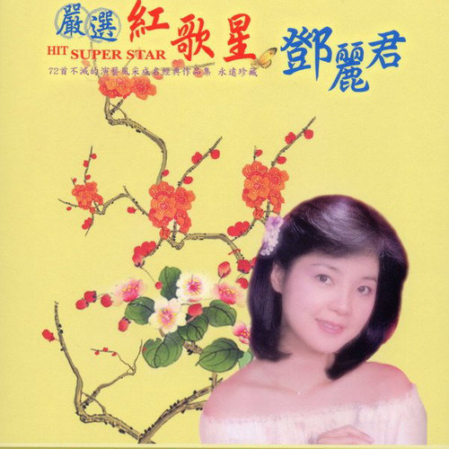 记得你记得我歌词-邓丽君