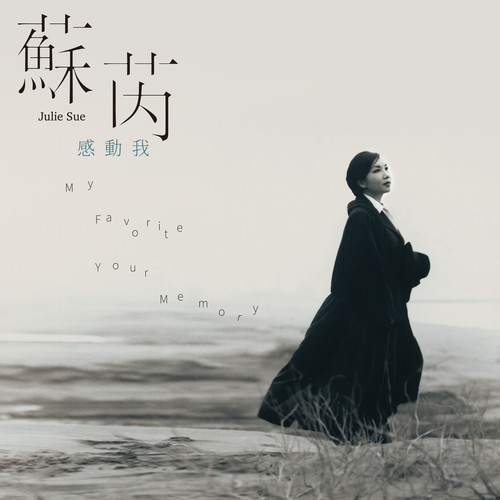 你还要什么 (Remaster)歌词-苏芮