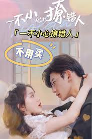 一不小心撩错人短剧合集版