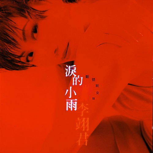 难忘的初恋情人歌词-李翊君