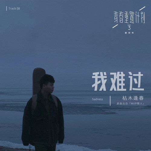 我难过 (伴奏)歌词-枯木逢春