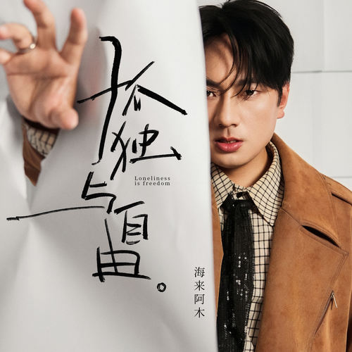 孤独与自由 (DJHZ版)歌词-海来阿木