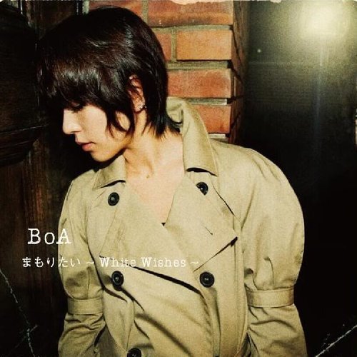 THE END そして and... (The End Soshite And...) (Inst.)歌词-BoA