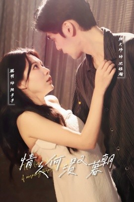 情久何须叹暮朝短剧全61集