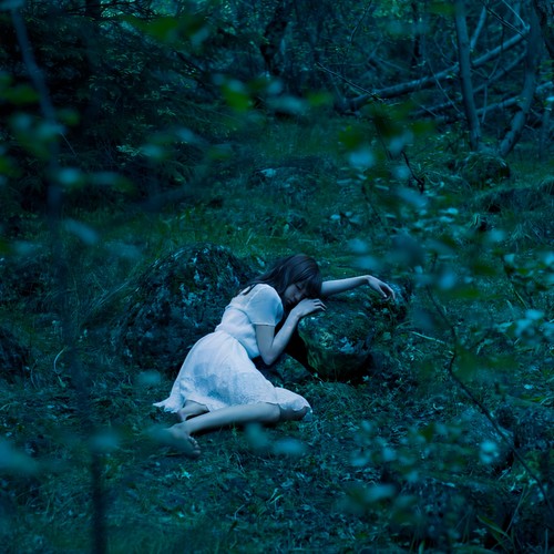 眠りの森 (沉睡森林)歌词-Aimer (エメ)