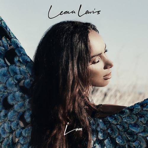 Another Love Song歌词-Leona Lewis
