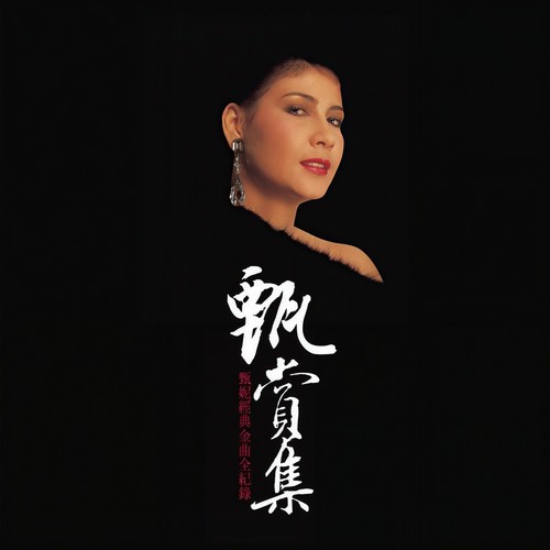 再不想拥有他歌词-甄妮