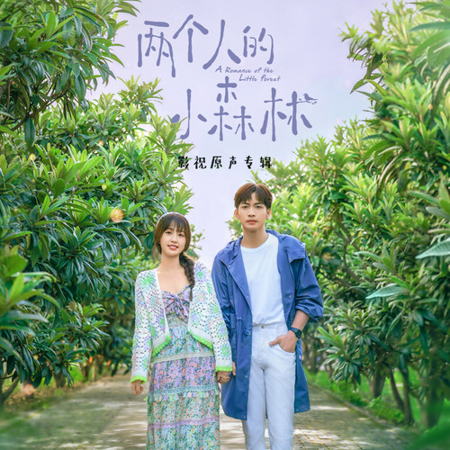 美丽心情歌词-罗锟