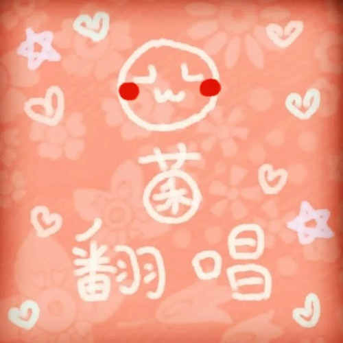 夜夜夜夜歌词-封茗囧菌