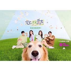 宠他，还是爱我？电视剧全20集