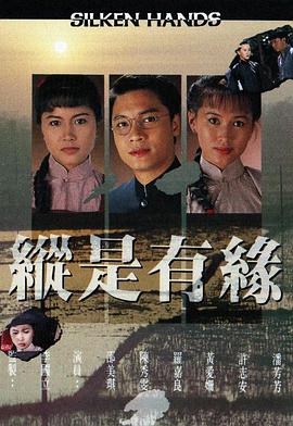 自梳女国语版电视剧全10集