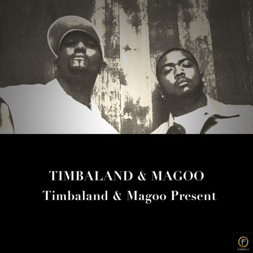 Party People歌词-Timbaland / Magoo / Missy Elliott