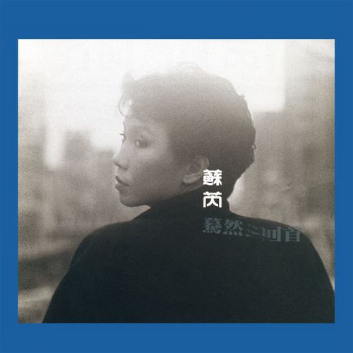 夜的声音 (Remaster)歌词-苏芮