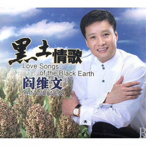 正对花歌词-阎维文