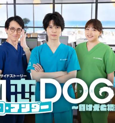 初恋UNDERDOGs～败犬与初恋～电视剧更新至04集