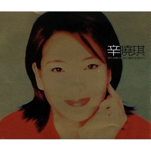 遗忘歌词-辛晓琪