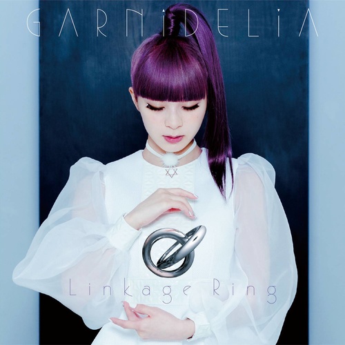 Steps歌词-GARNiDELiA (ガルニデリア)