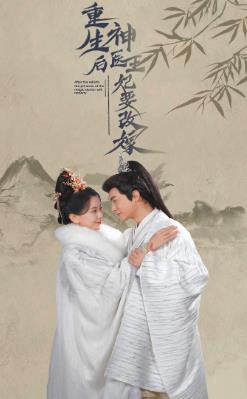 重生后神医王妃要改嫁短剧全83集