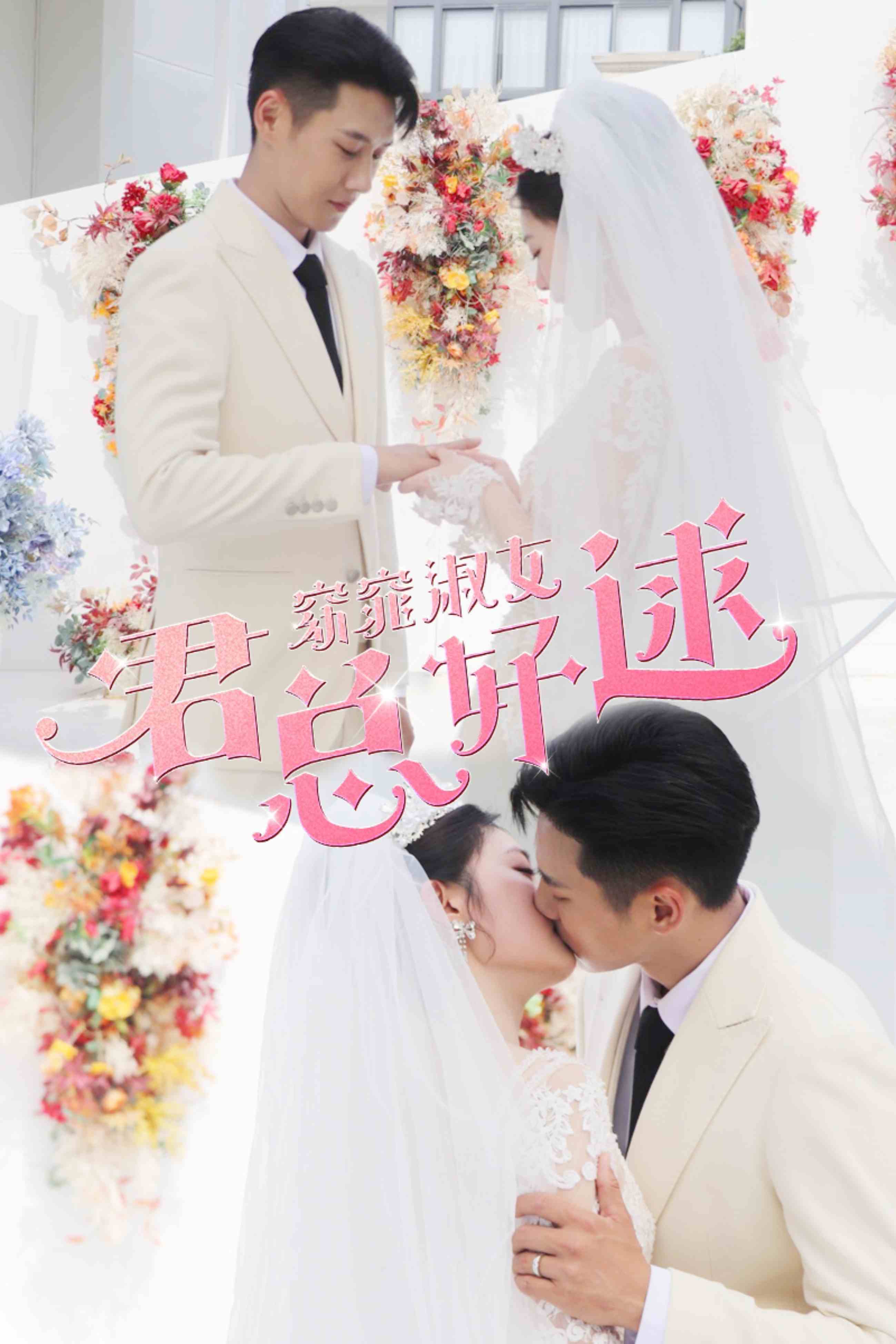 窈窕淑女君总好逑短剧合集版