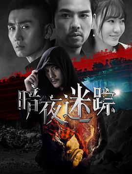 暗夜迷踪电影HD国语版