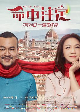 命中注定电影HD国语版