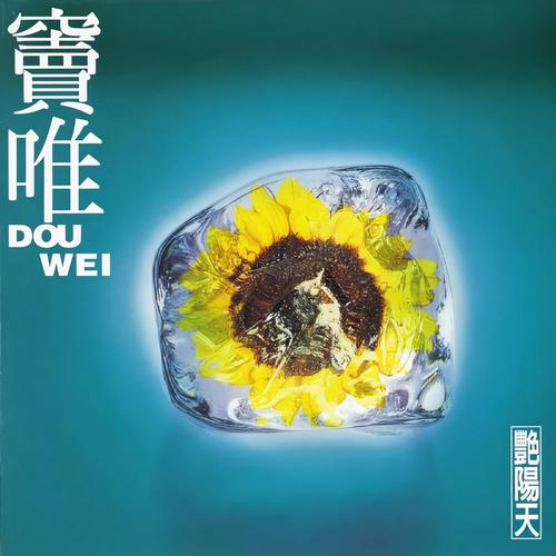窗外歌词-窦唯