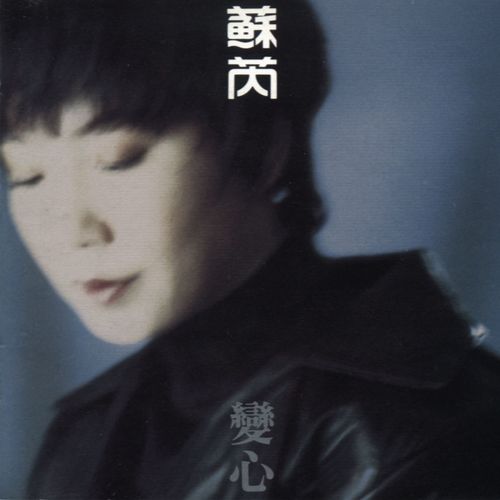 爱到天长地久歌词-苏芮