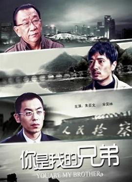 你是我的兄弟电影HD国语版