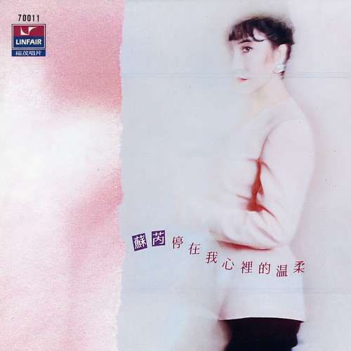爱过很多人歌词-苏芮